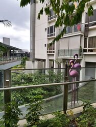 flamingo-valley photo thumbnail #2